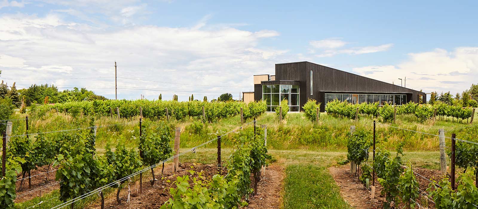 About Lakeview Wine Co. Niagara Winery